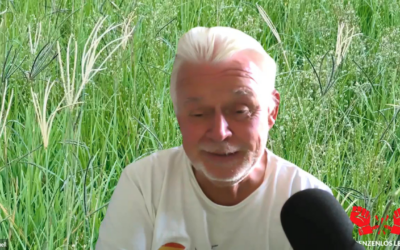 Aufzeichnung GRENZÜBERSCHREITER Talk 4 – Wahlen USA und die Welt