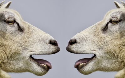 Diskutieren – Der Goldstandard für’s Scheitern