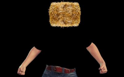 Influencer – oder Blinddarm ersetzt Hirn