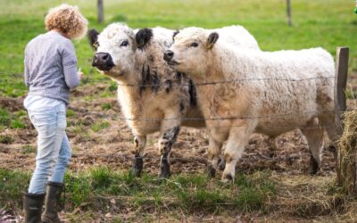 Menschenkenntnis und Tierliebe