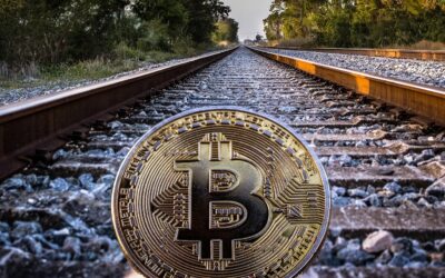 Krypto widerspricht GRENZENLOS LEBEN