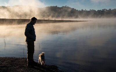 Ruhe – Die absolute Quelle