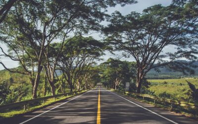 Leben ist freie Fahrt