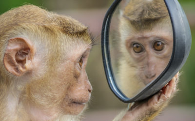 Wahrheit – Nimm von allem das Gegenteil