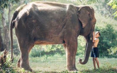 Gleichberechtigung oder die Verblödung von Vollidioten