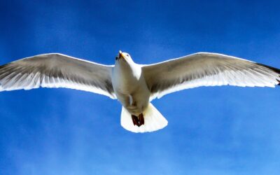 Von Gabriele lernen heißt Leben lernen