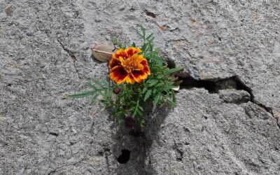 Du musst nicht funktionieren!