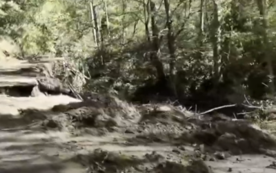Update aus North Carolina: Tausende Tote, verzweifelte Kinder, Bürgerwehren