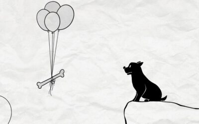 GRENZENLOS LEBEN in Zeiten wie diesen – Vorstellungskraft ist alles