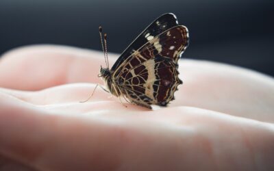 Loslassen 2024 heißt Aussteigen – Mehr als je zuvor