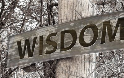 Erfahre Deine Grenzen – Ununterbrochen